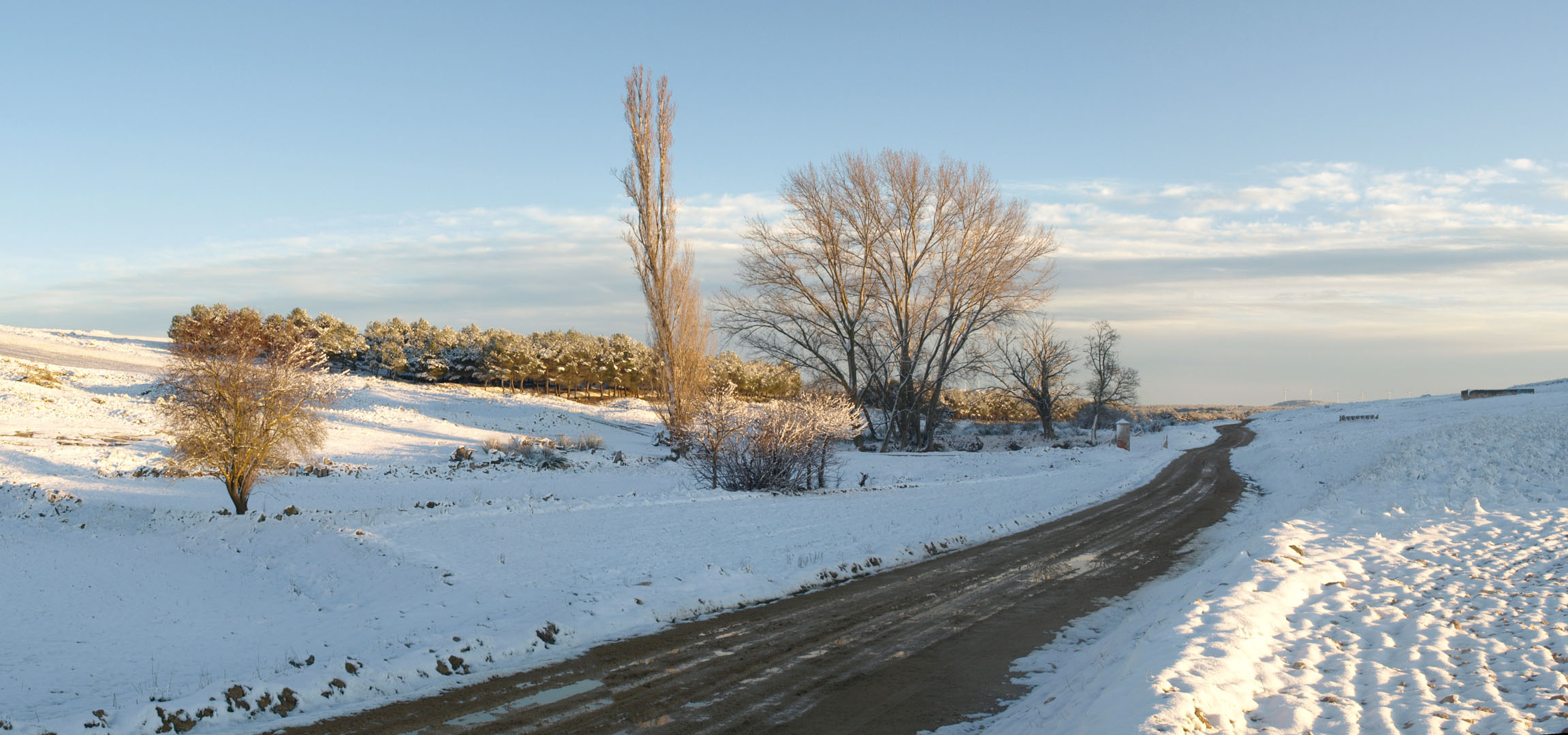 Nevada en Valparaiso
